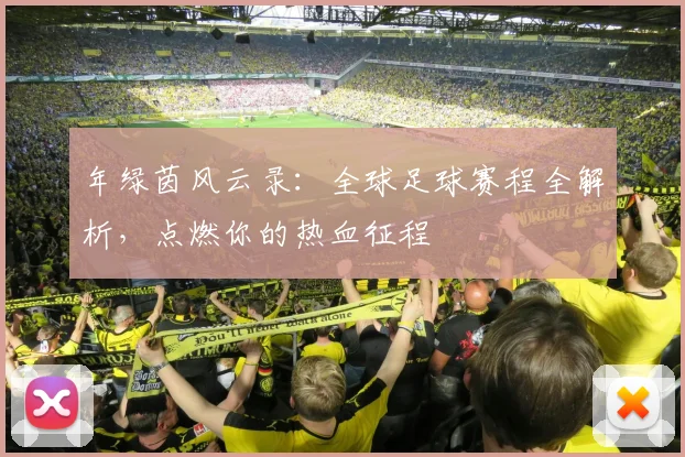 年绿茵风云录：全球足球赛程全解析，点燃你的热血征程