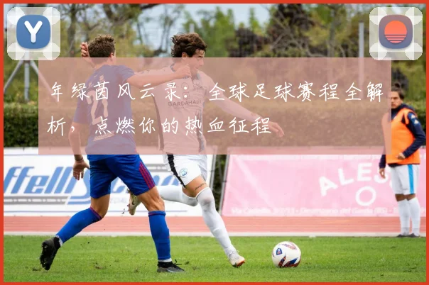年绿茵风云录：全球足球赛程全解析，点燃你的热血征程