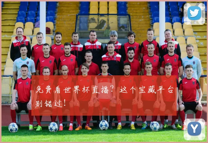 免费看世界杯直播？这个宝藏平台别错过！